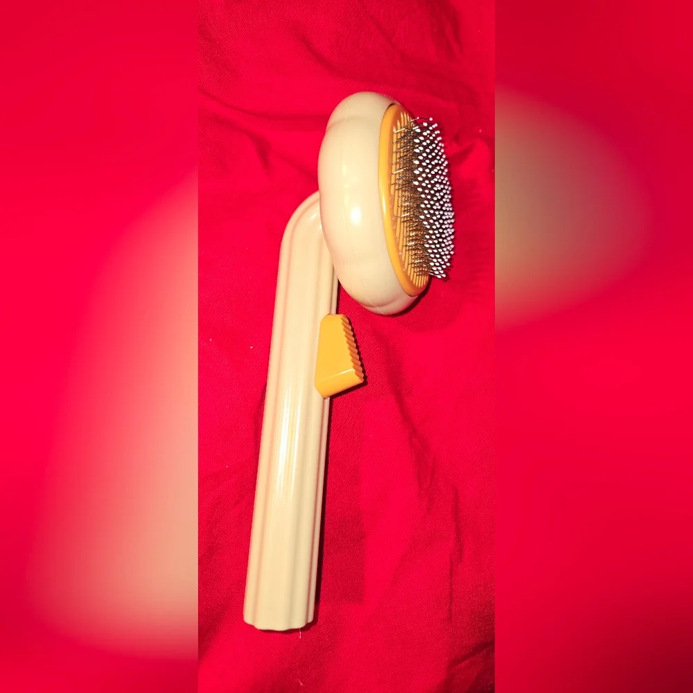 Self cleaning brush